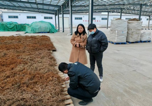 1737770504981862.png 图片1_副本.png